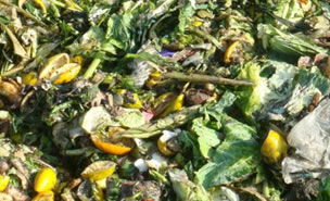 菜場好色视频下载安装