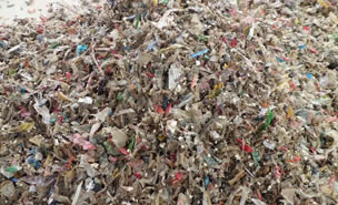 生活好色视频下载安装