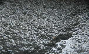 汙泥好色视频下载安装